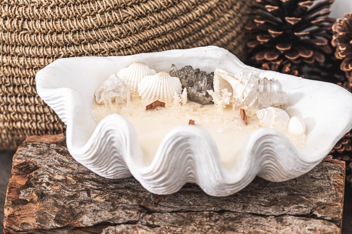 Luxe Edition Clam Shell Soy Candle