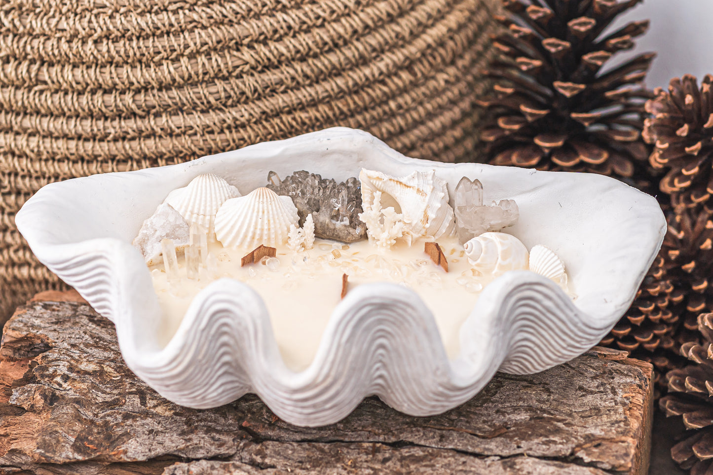 Luxe Edition Clam Shell Soy Candle