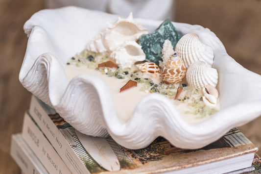 Amazonite Clam Shell Soy Candle