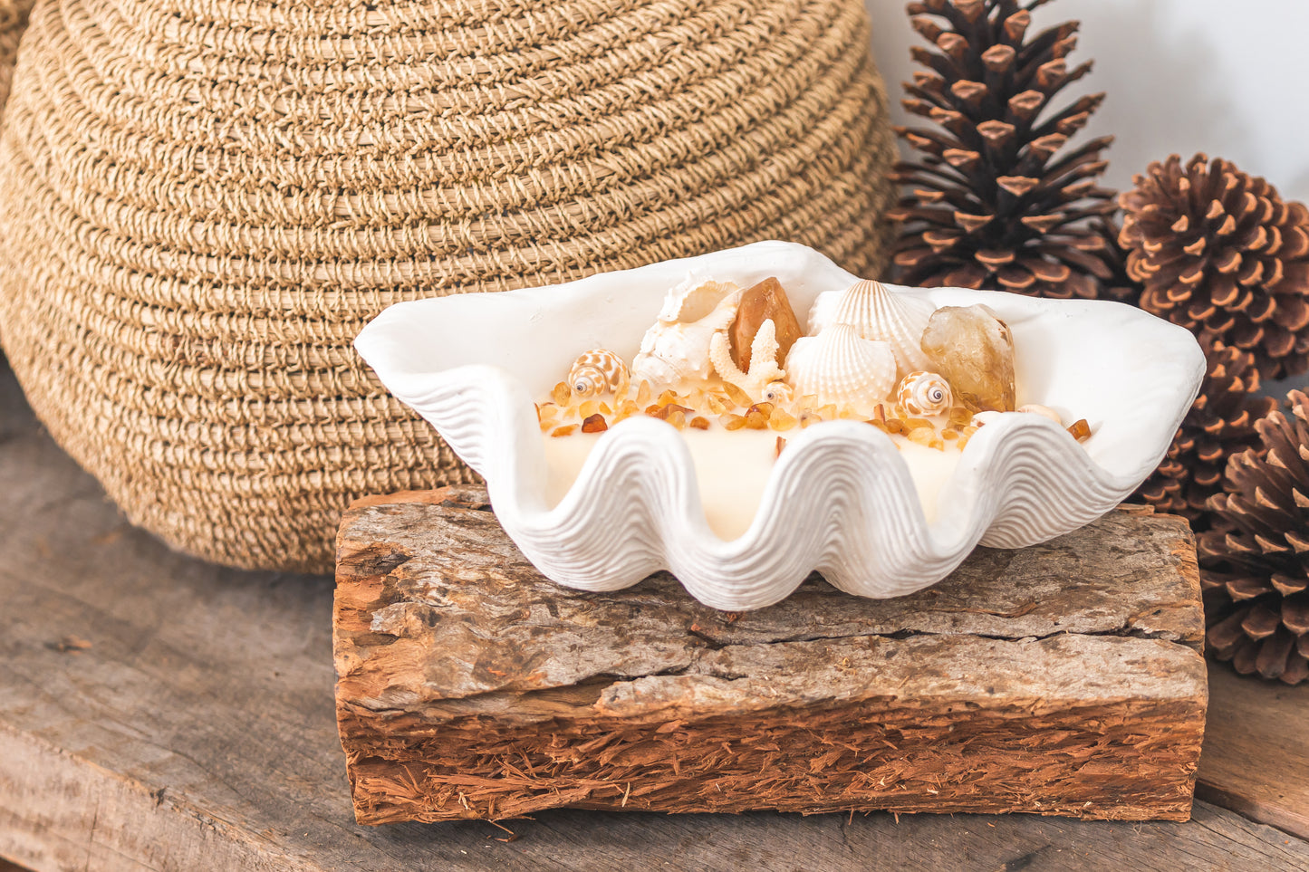 Citrine Clam Shell Soy Candle