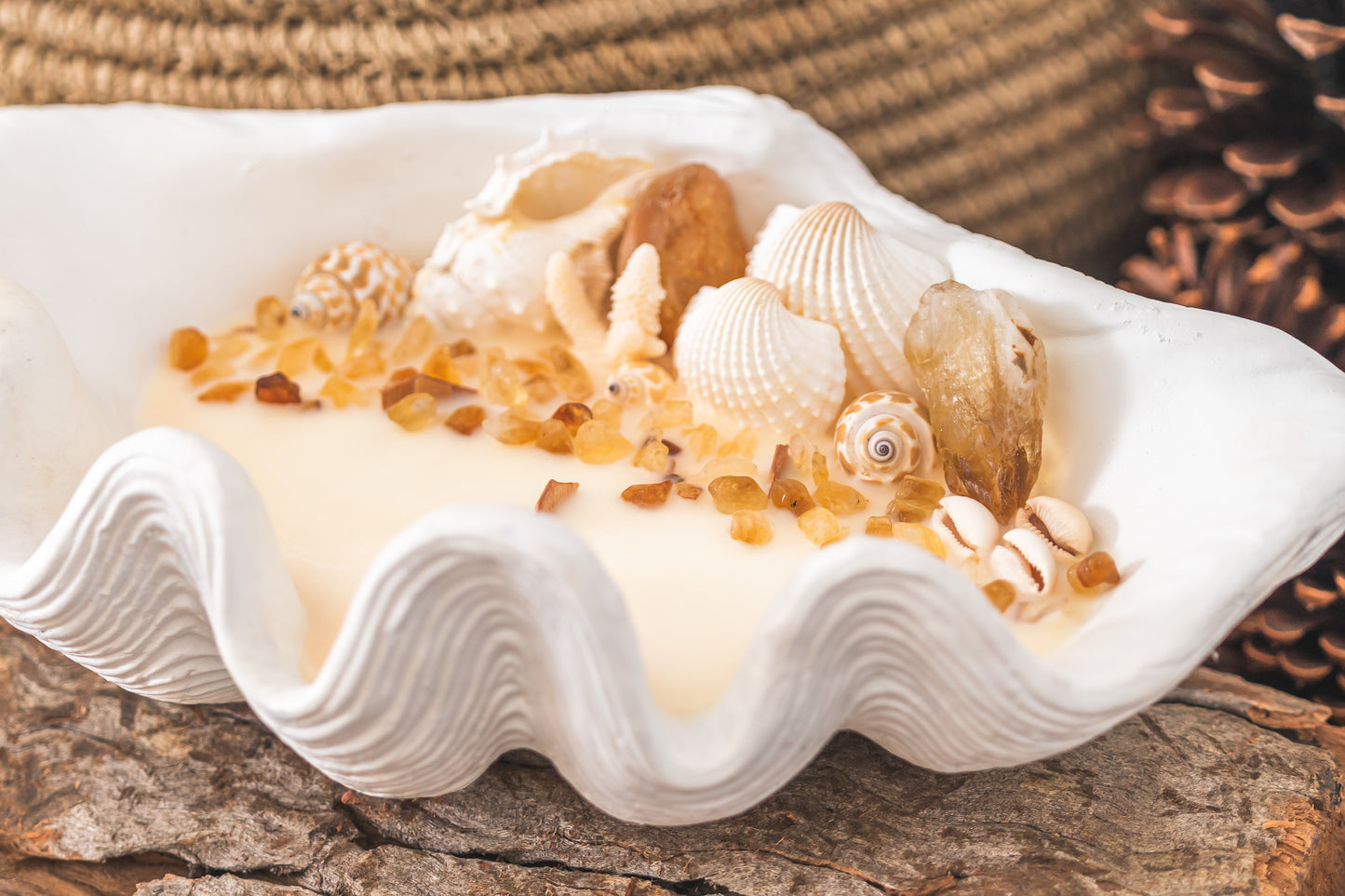 Citrine Clam Shell Soy Candle